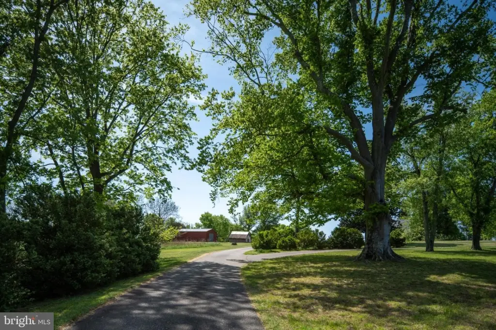 Picture 23