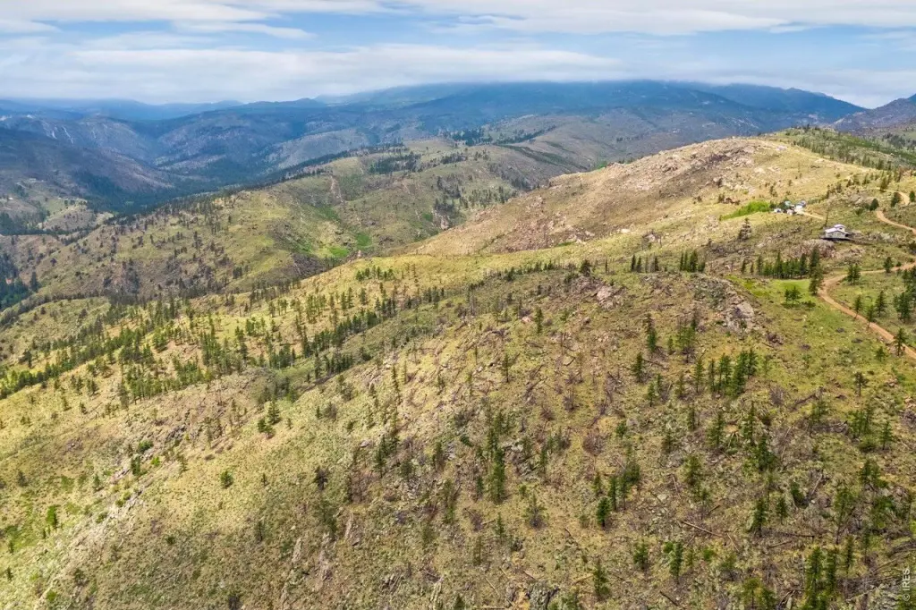 Picture 15