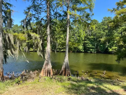 Waterfront Lot in Cypress Bend