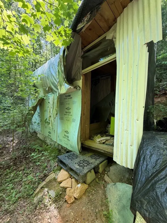 Picture 19