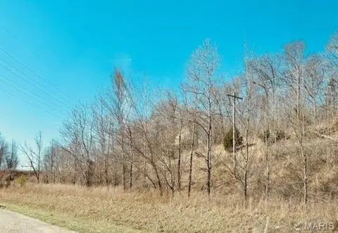 28+ Acre Untouched Woods Parcel