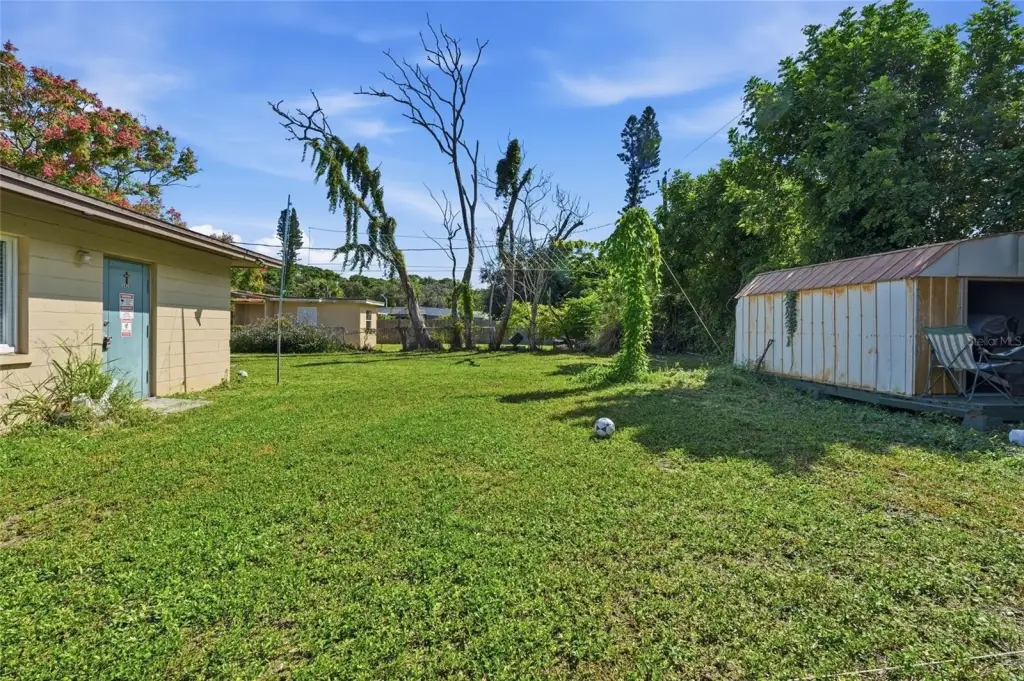 Picture 7