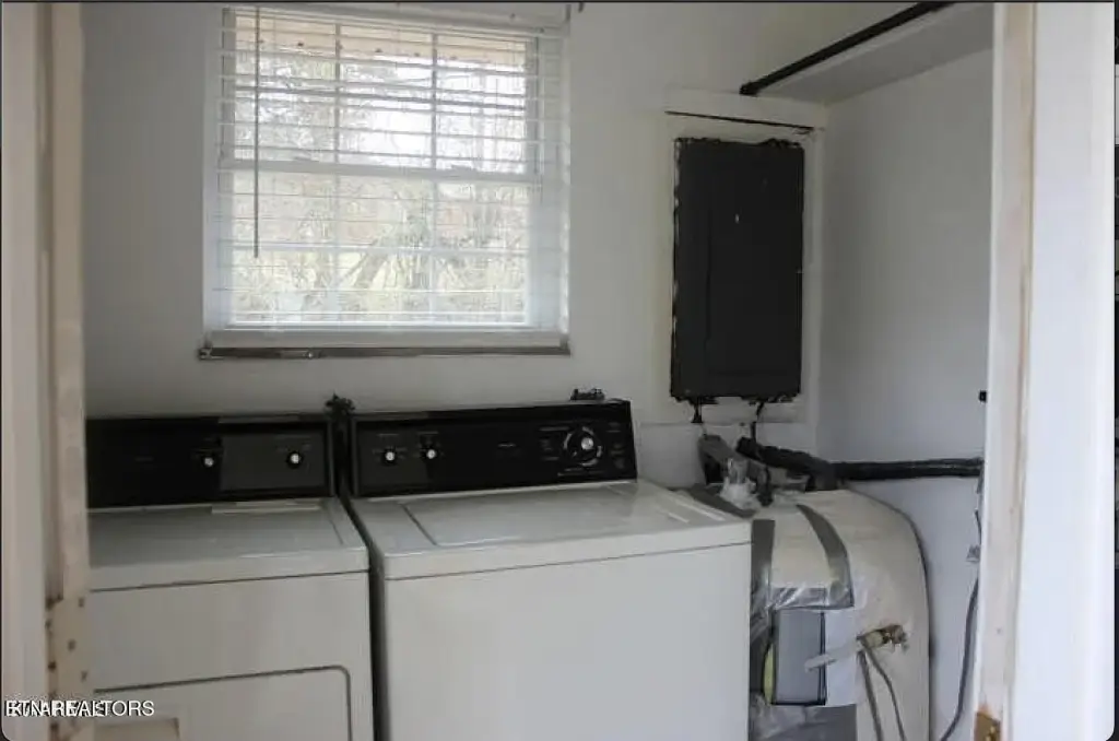 Picture 19