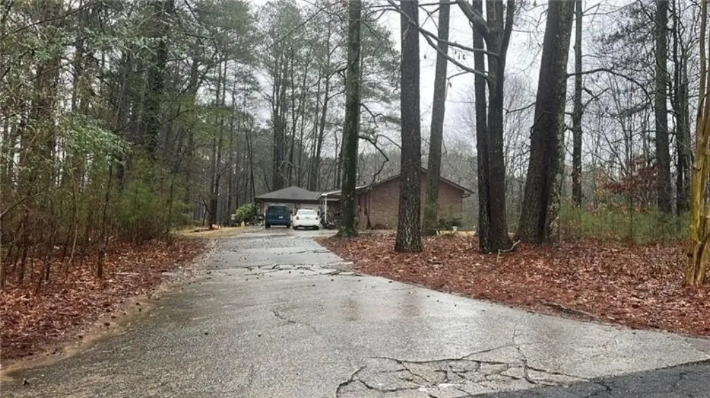 Picture 6