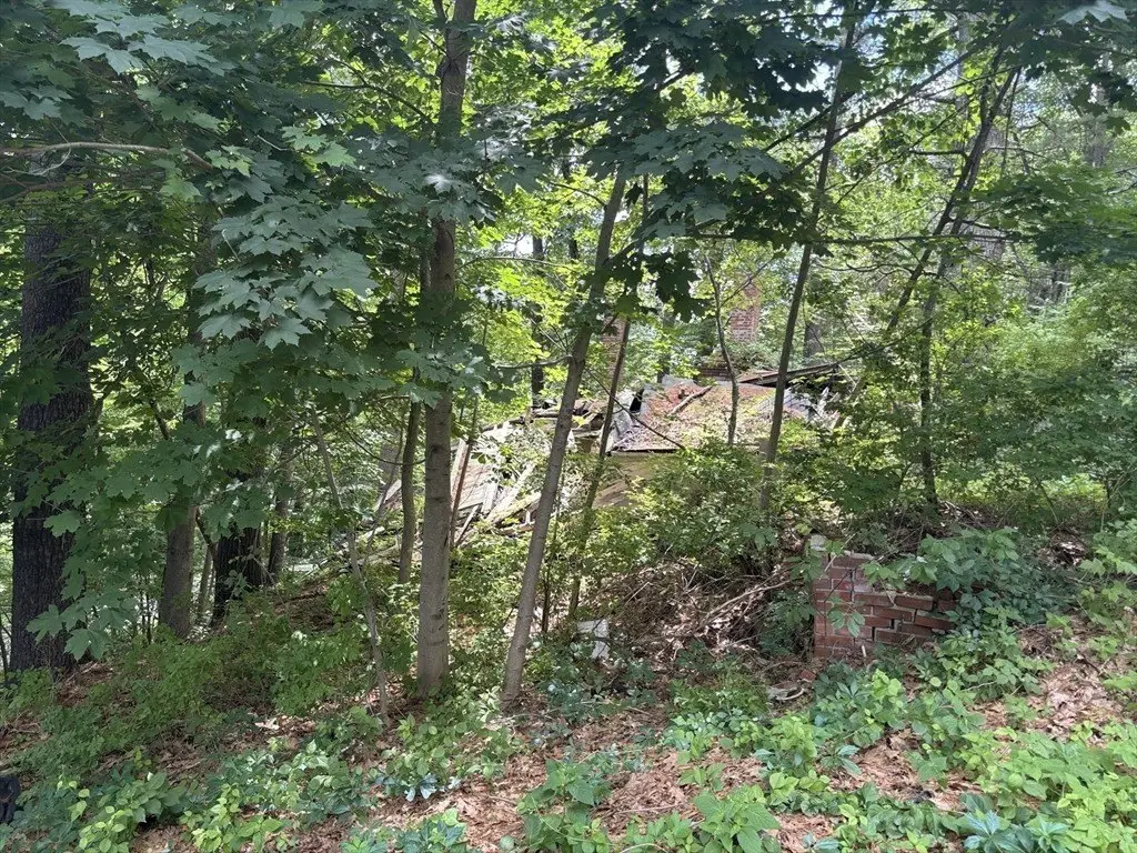 Picture 23