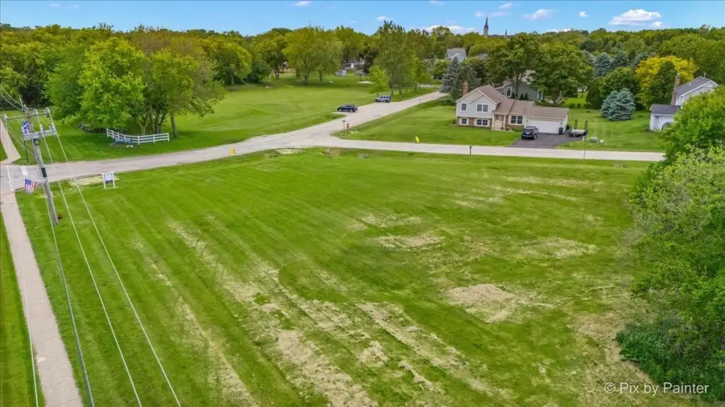 Picture 8