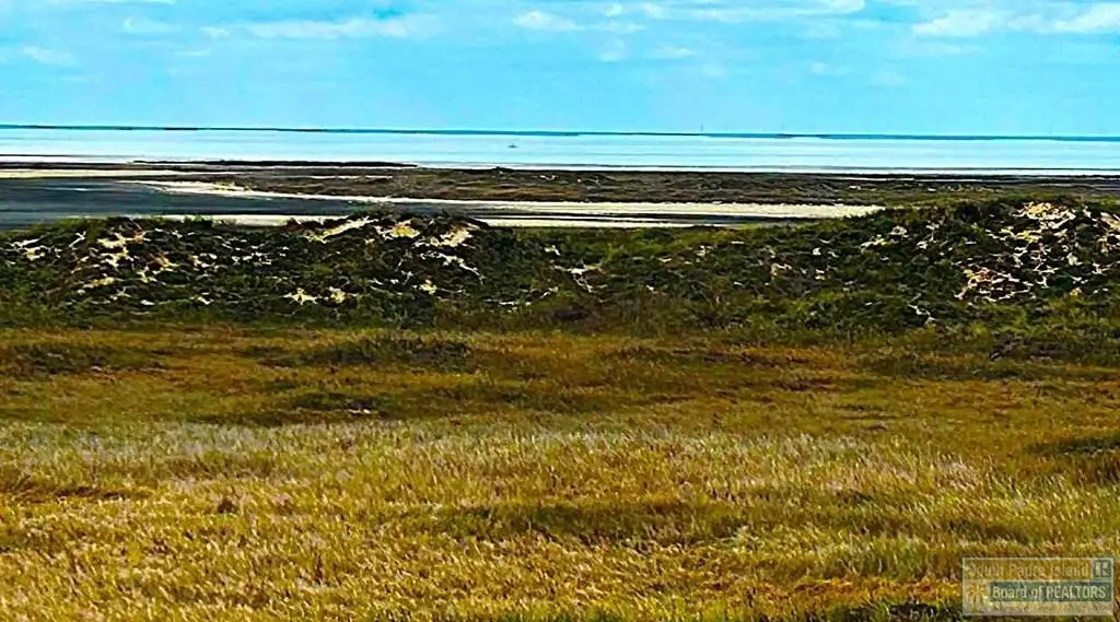 Picture 21
