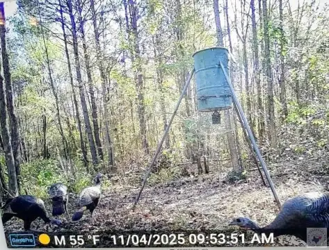 DeKalb Hunting and Recreation Ranch