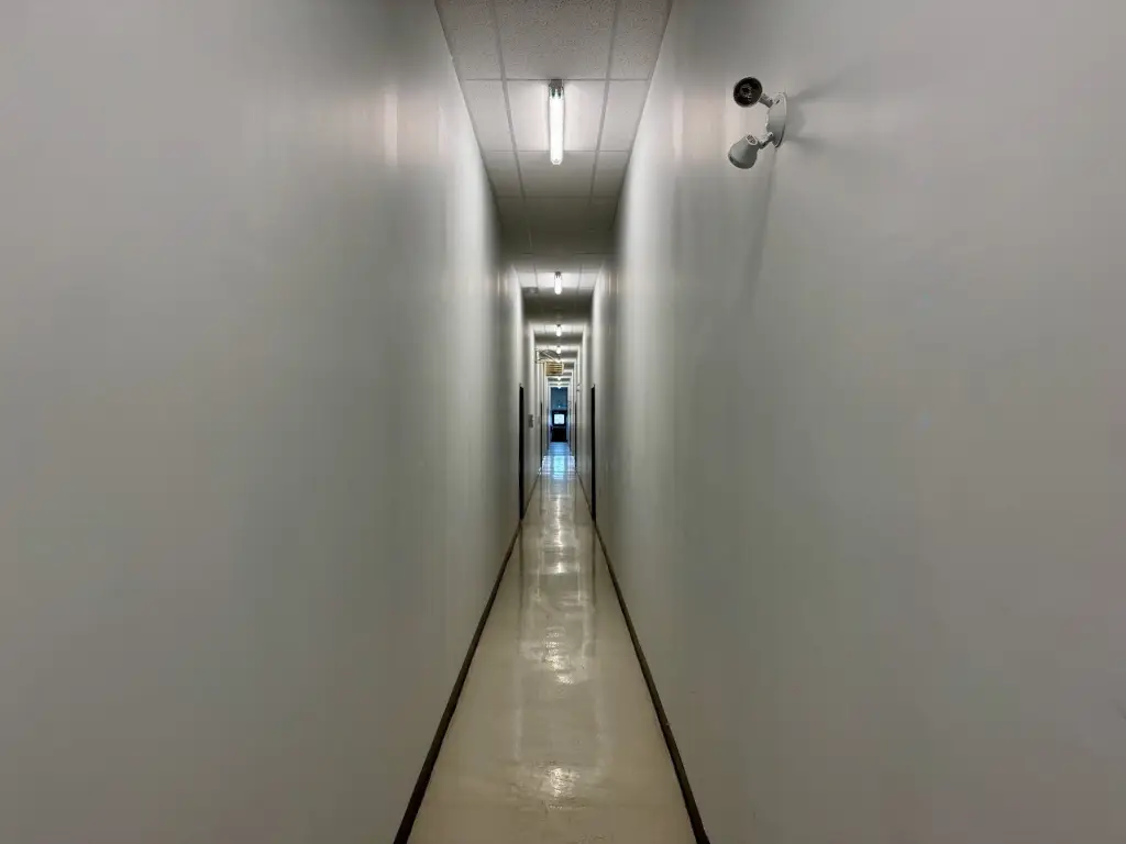 Picture 14
