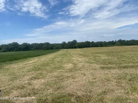 Pelahatchie Estate Lot Opportunity