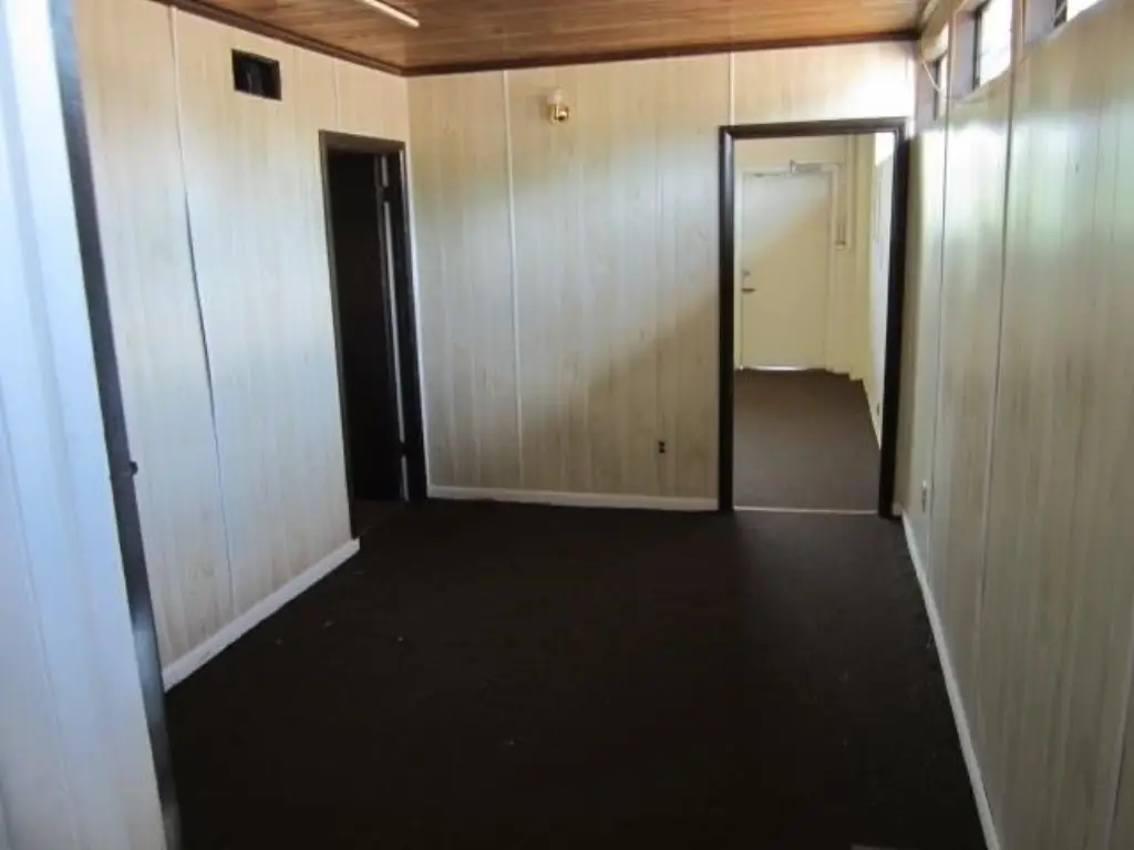 Picture 8