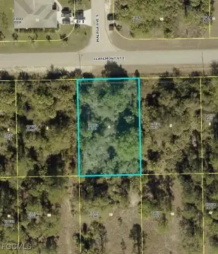 Lehigh Acres Buildable Vacant Lot