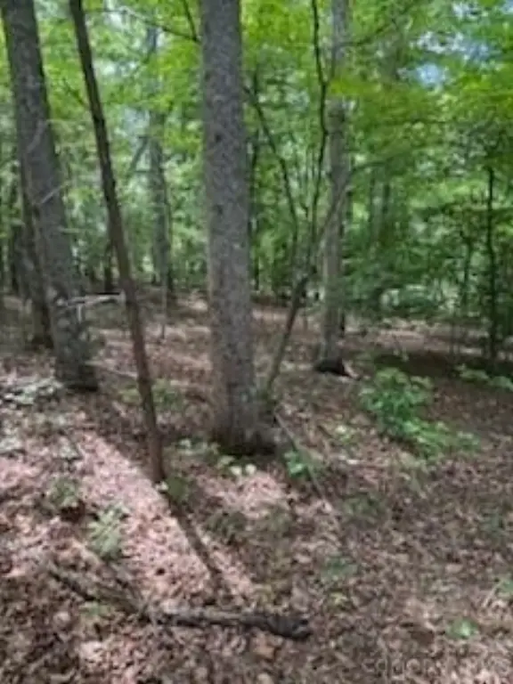 Picture 7