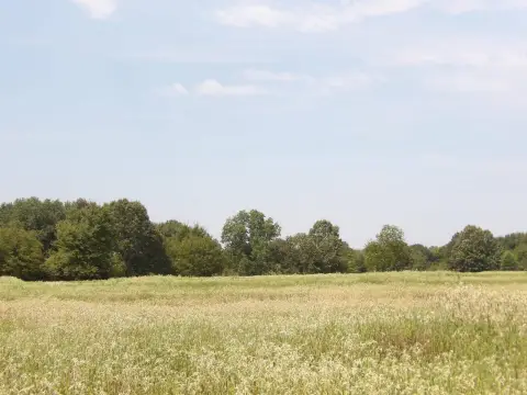 520 Acres Vacant Land