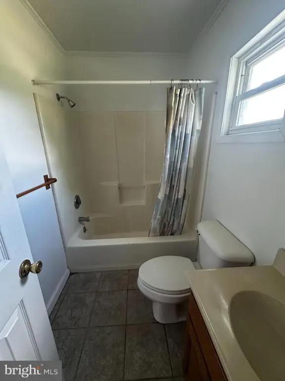 Picture 8