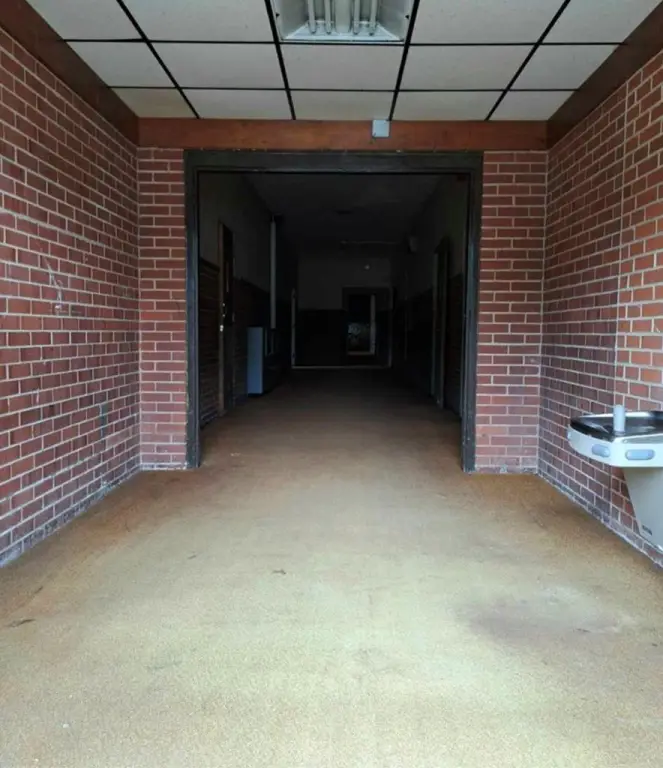 Picture 9