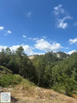 82 Acres of Prime Land