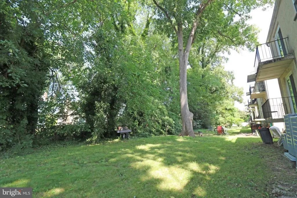 Picture 43
