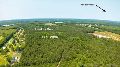 81 Acres Wooded Tract