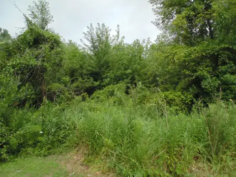 Land For Sale, Lake Station