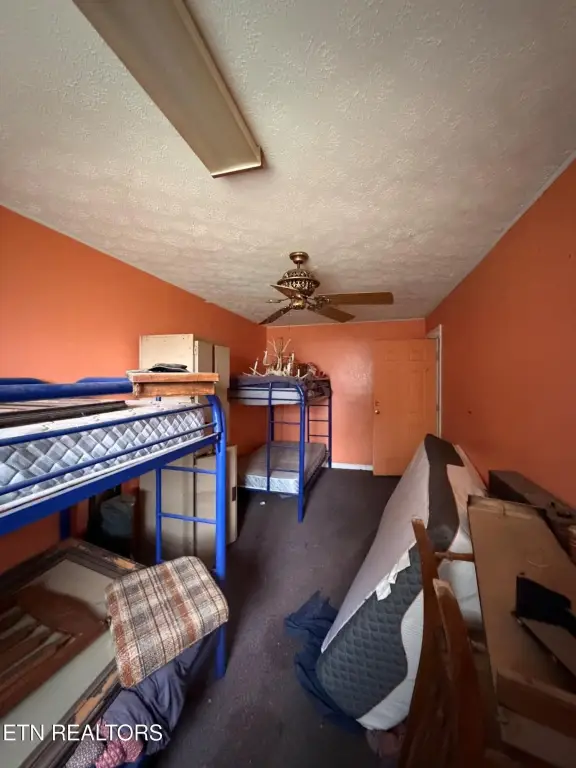 Picture 27