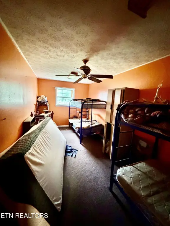 Picture 26