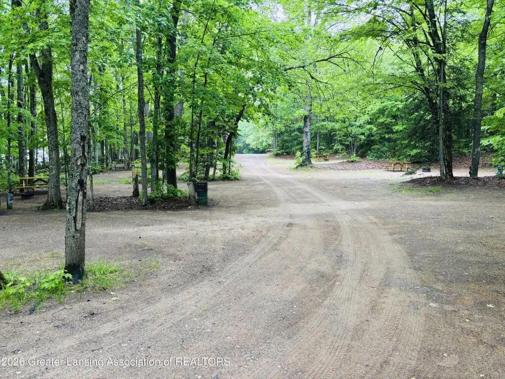 Picture 51