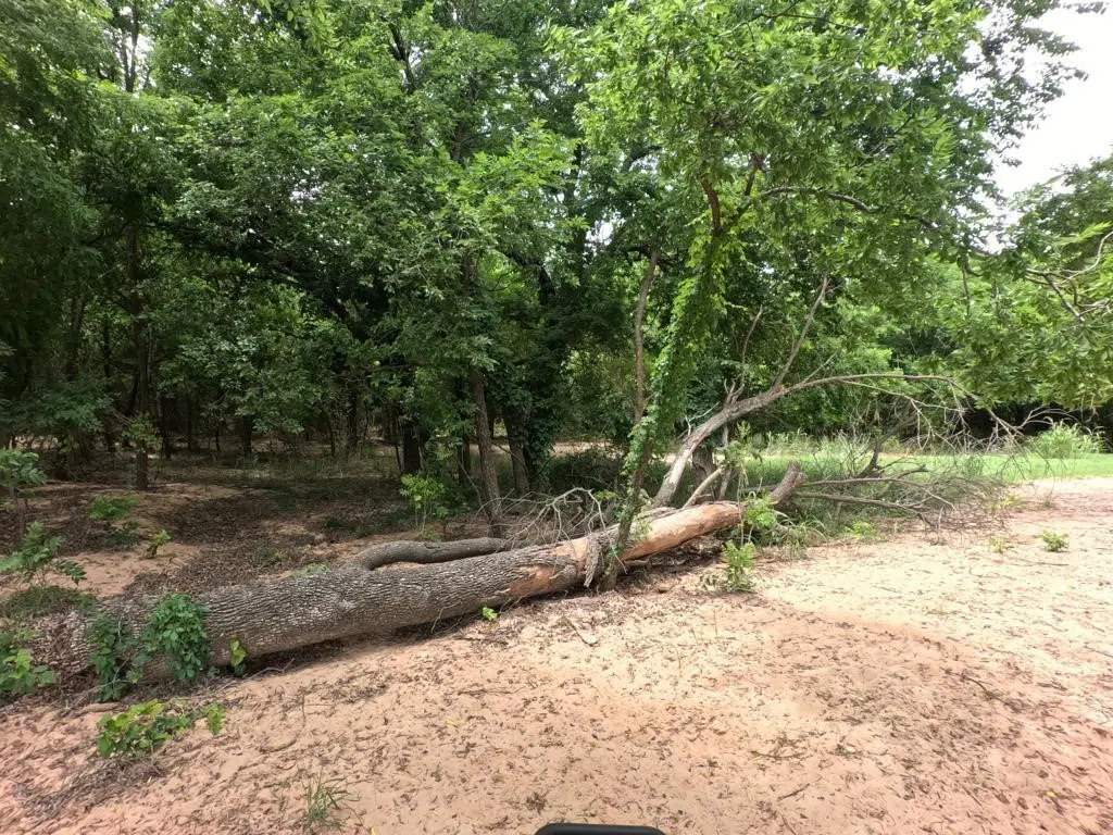 Picture 30