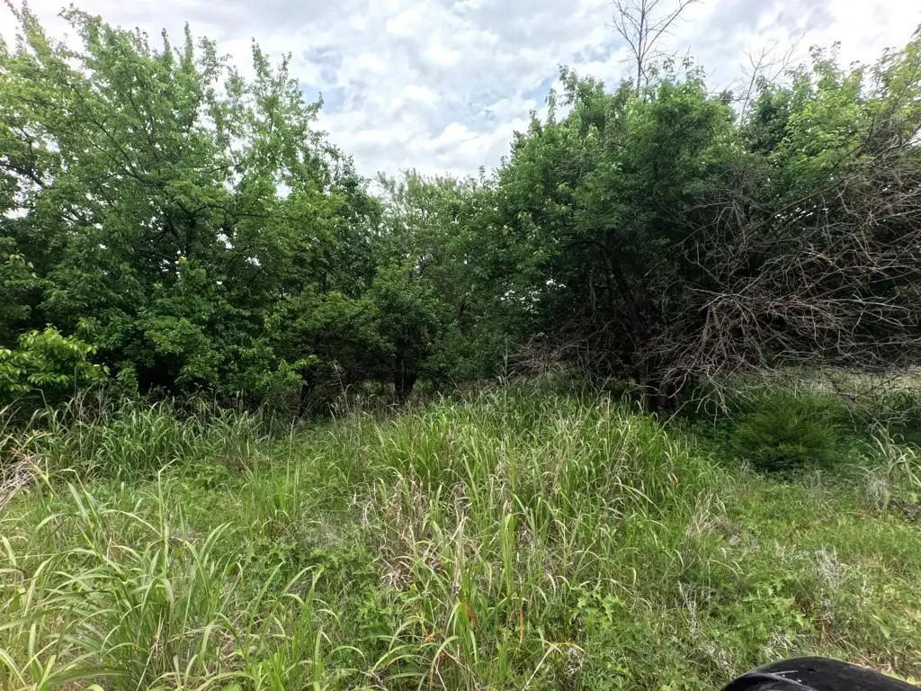 Picture 31