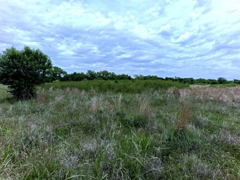 Picture 19