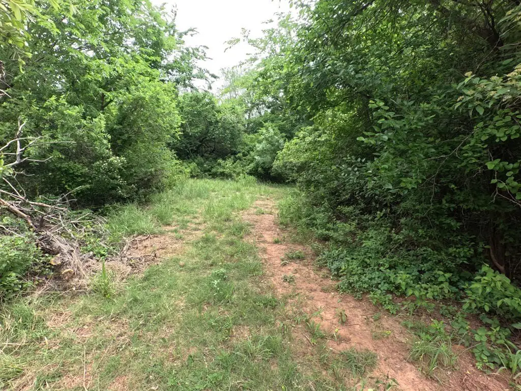 Picture 22