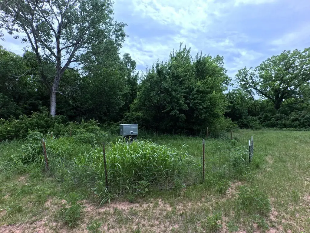 Picture 27