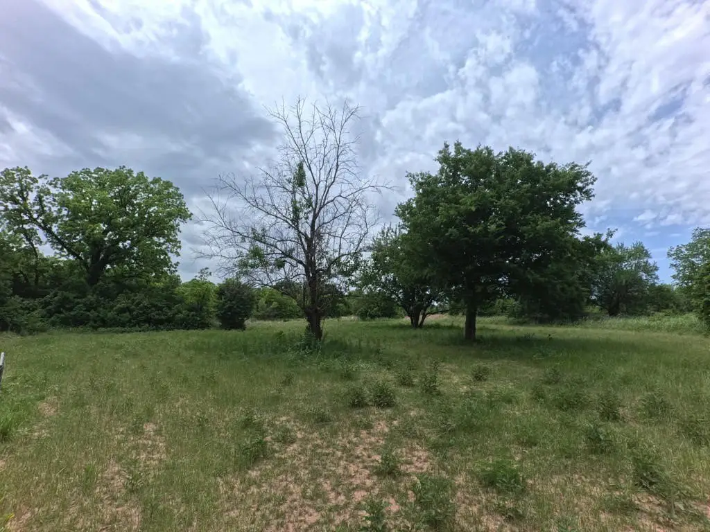 Picture 28