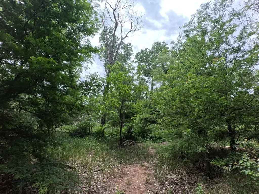 Picture 18