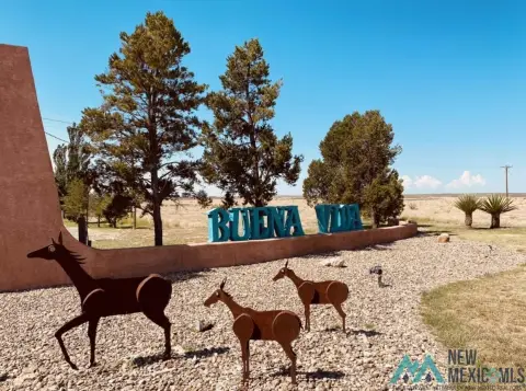 Land For Sale in Roswell