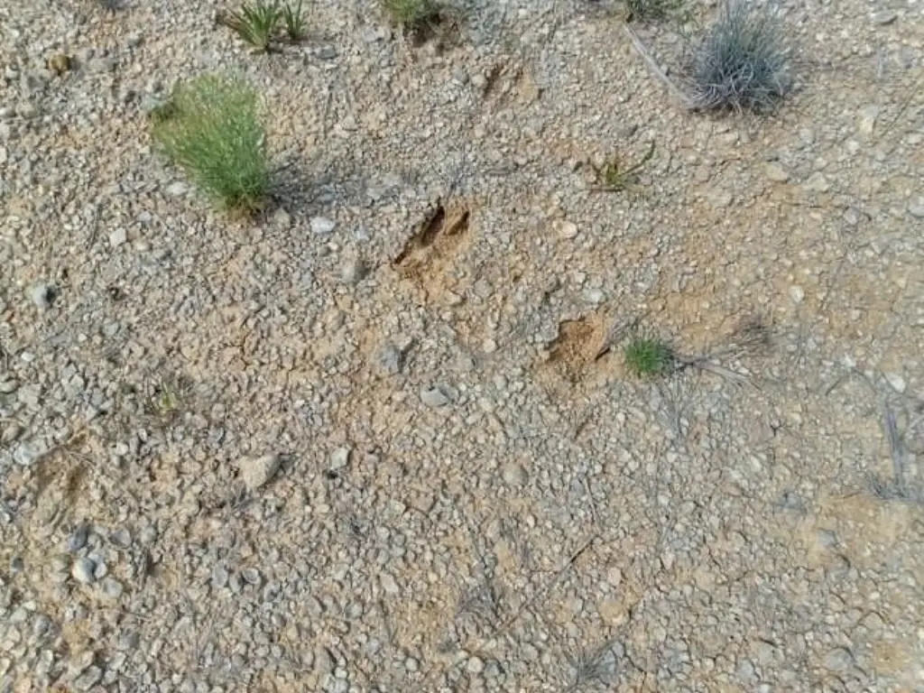 Picture 3