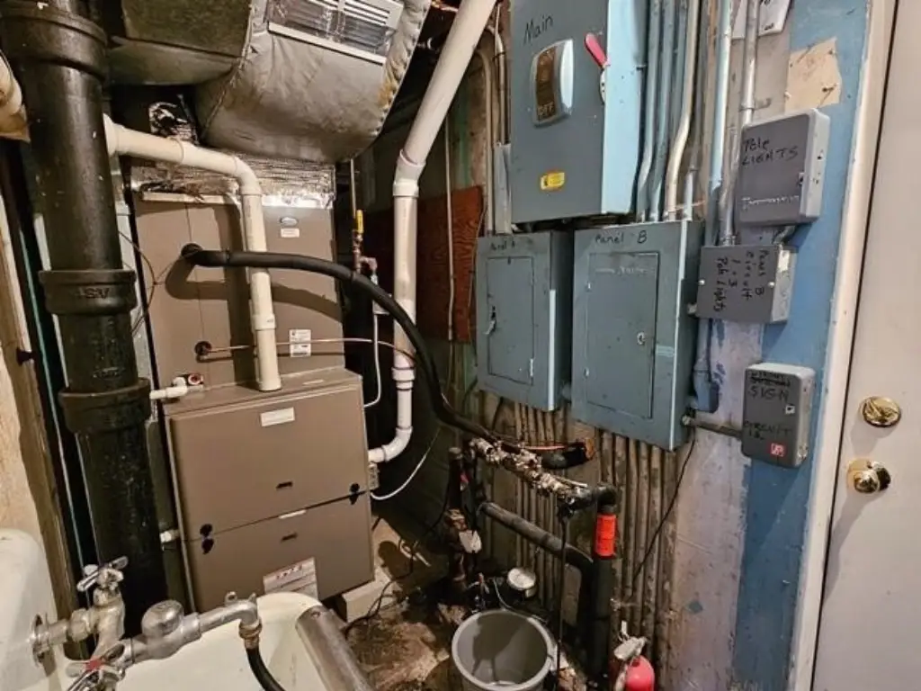 Picture 25