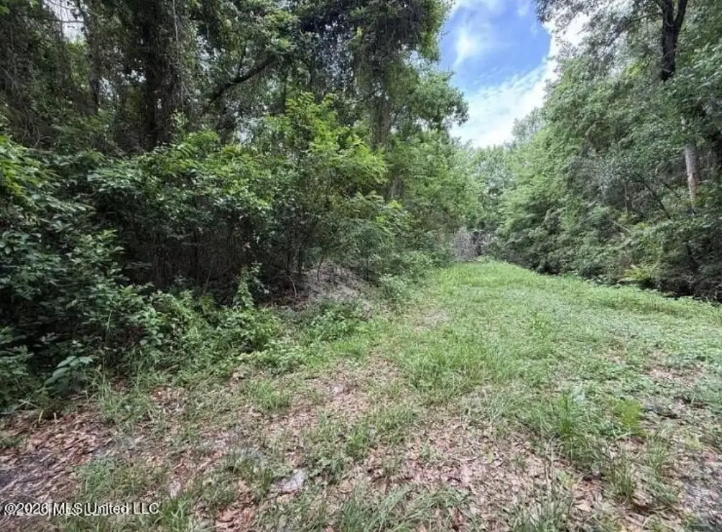 Picture 3