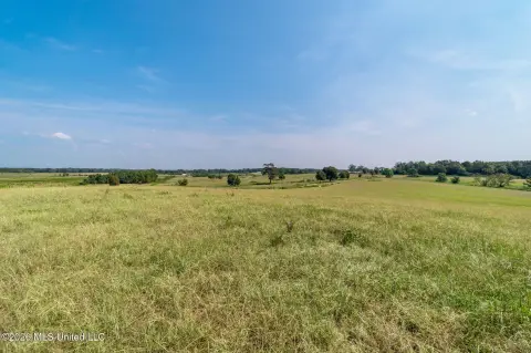 Poplarville Land For Sale
