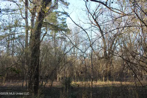 Olive Branch Land For Sale