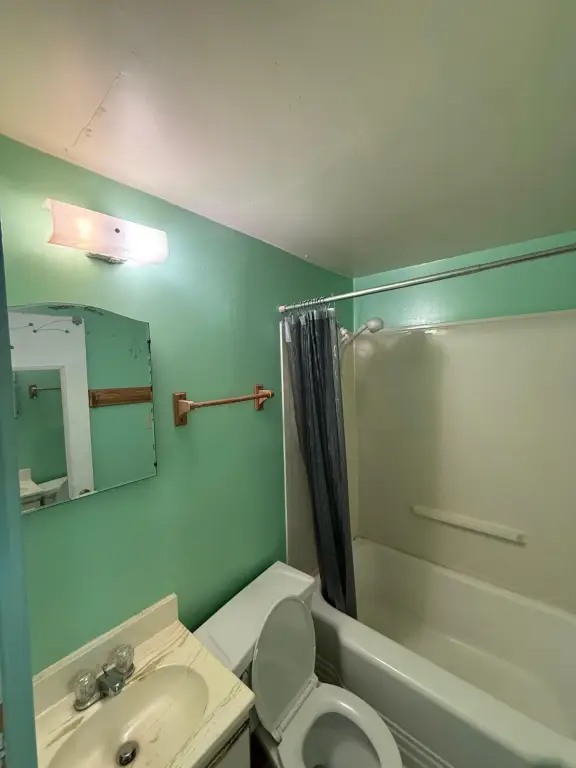 Picture 15