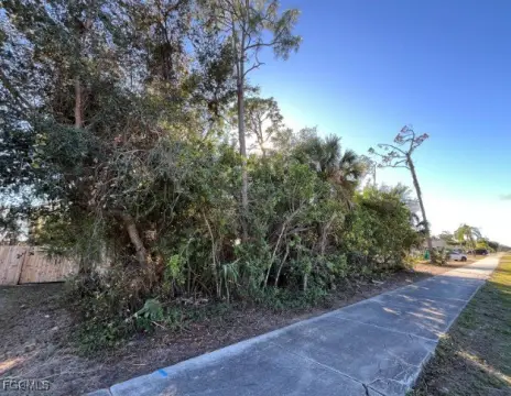 Residential Lot in Port Charlotte