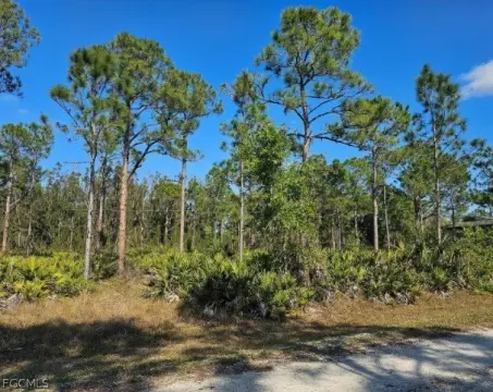 Residential Lot in Punta Gorda