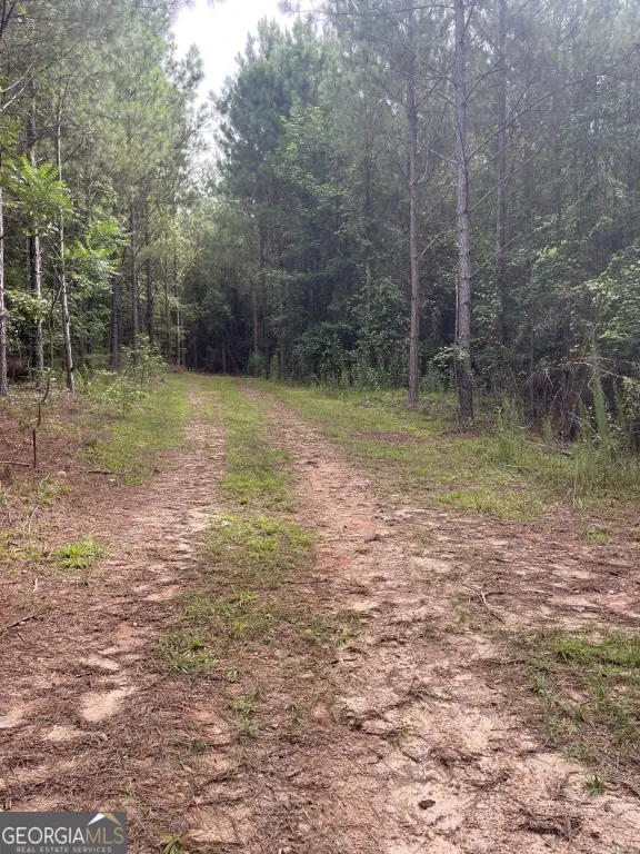 Picture 6
