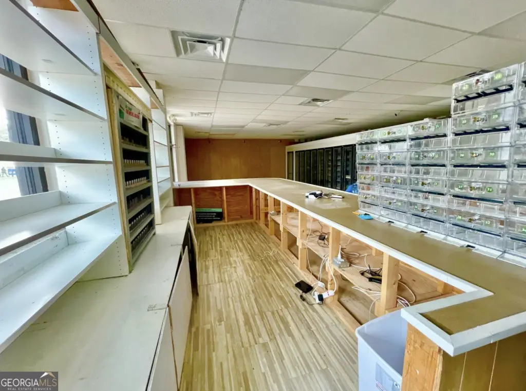 Picture 8
