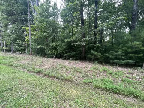 Wooded Lot with Creek Frontage