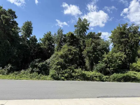 Two-Lot Commercial Land