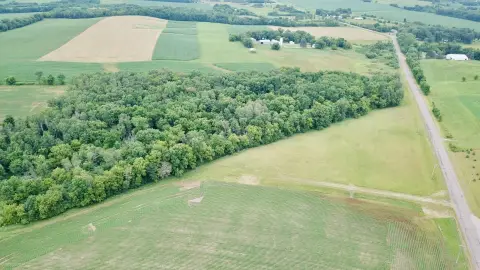 Wooded Hunting Land