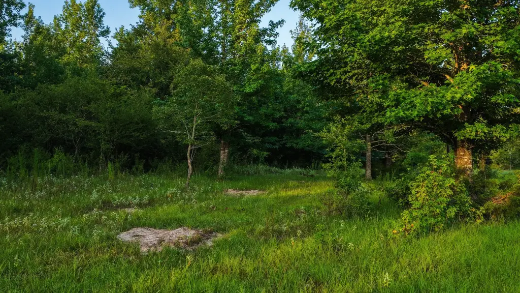Picture 20