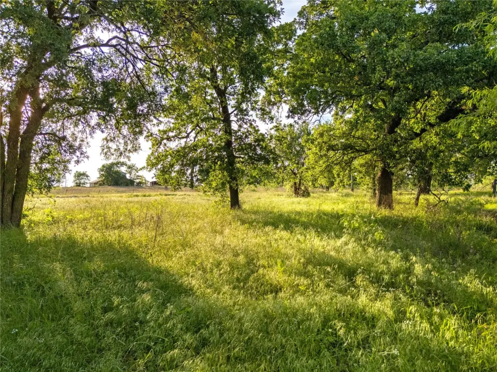 Picture 25